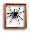 4_layer/spider.zip